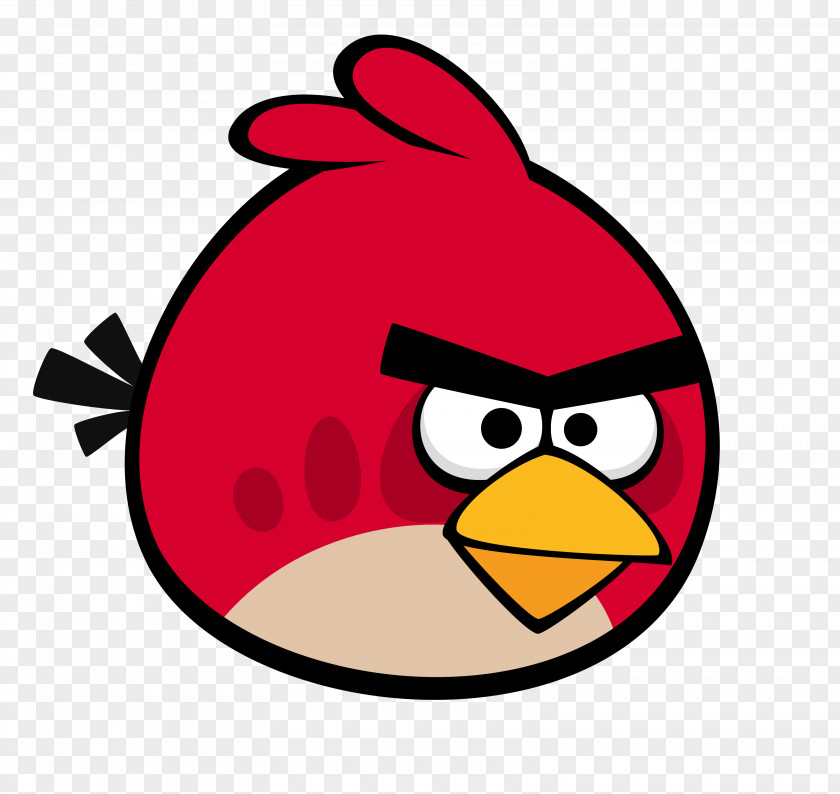 Picture Of Angry Faces Cartoon Birds 2 Friends Trilogy Evolution PNG