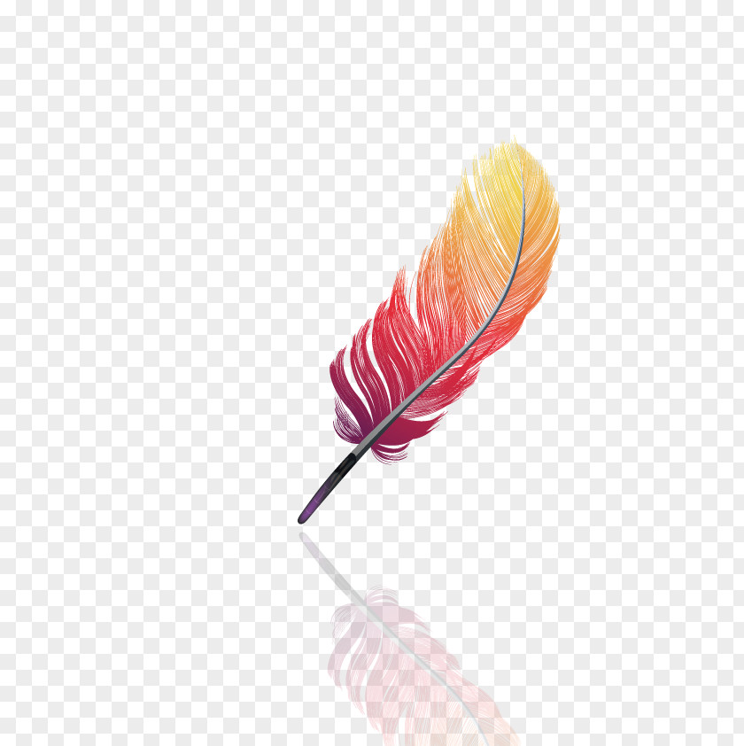 Vector Red Feathers Feather PNG