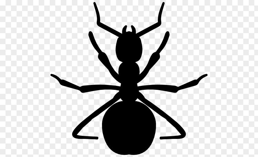 Ants Vector Ant Insect PNG