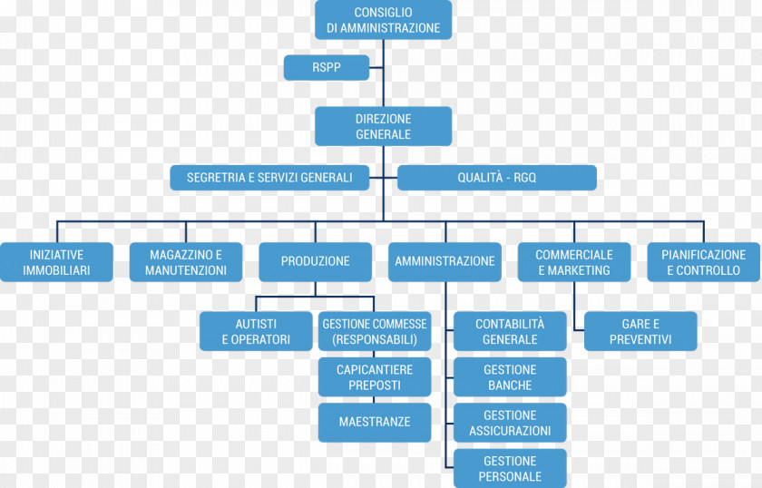 Business Organizational Chart Administration Società A Responsabilità Limitata PNG