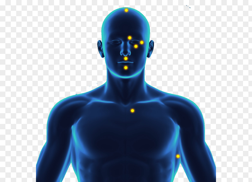EFT Emotional Freedom Techniques Thought Field Therapy Training Certification PNG