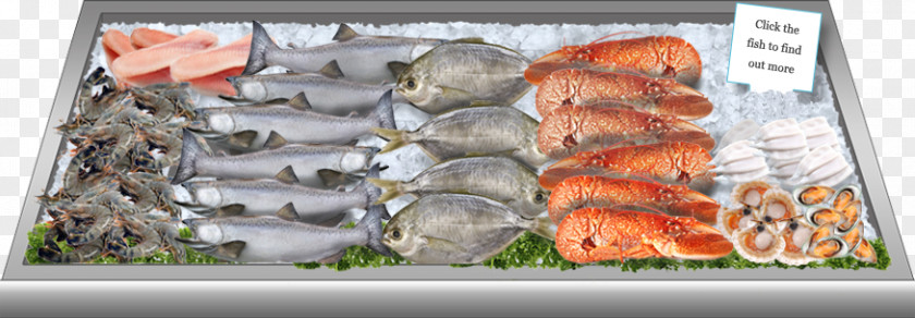 Food Tray Fish Products Meat Frozen PNG