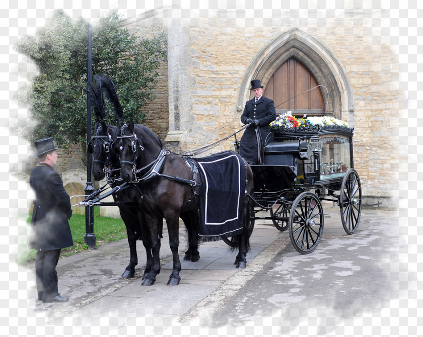 Funeral Carriage Hearse Wagon Director PNG