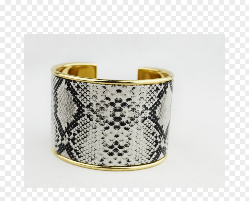 Jewellery Clothing Bangle Bracelet Silver PNG