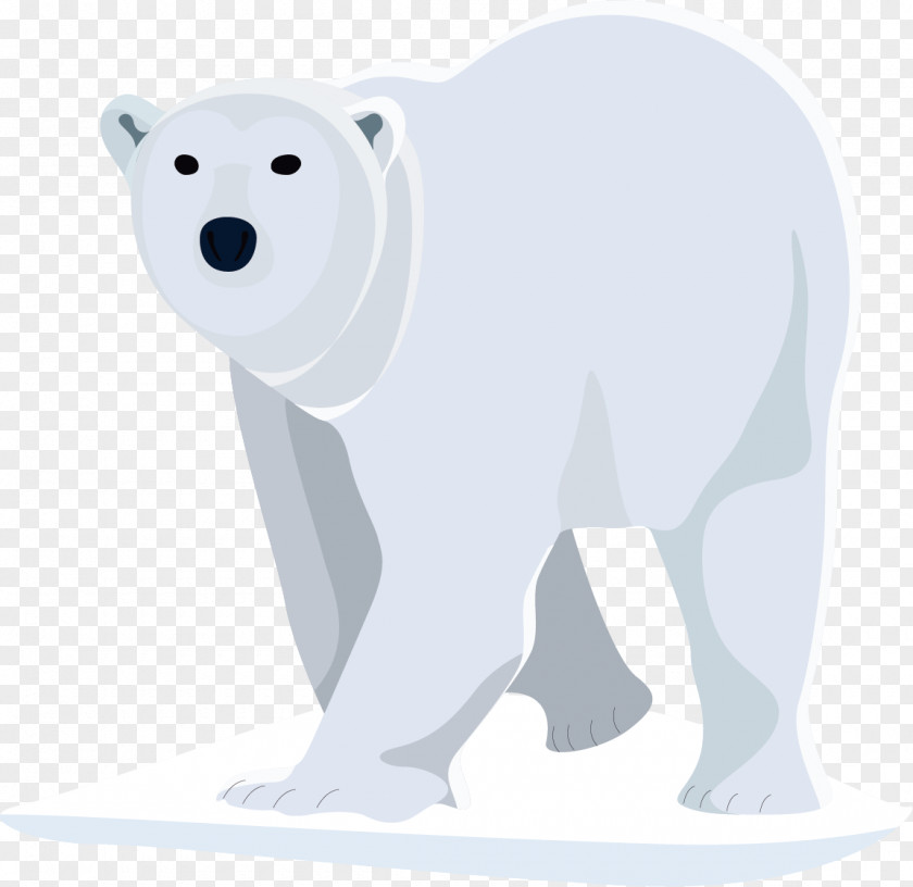 Polar Bear Arctic Snow Vector Euclidean PNG