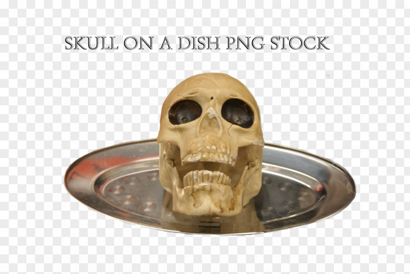 Dish Art DeviantArt Death, Come Near Me Draconian Photography PNG