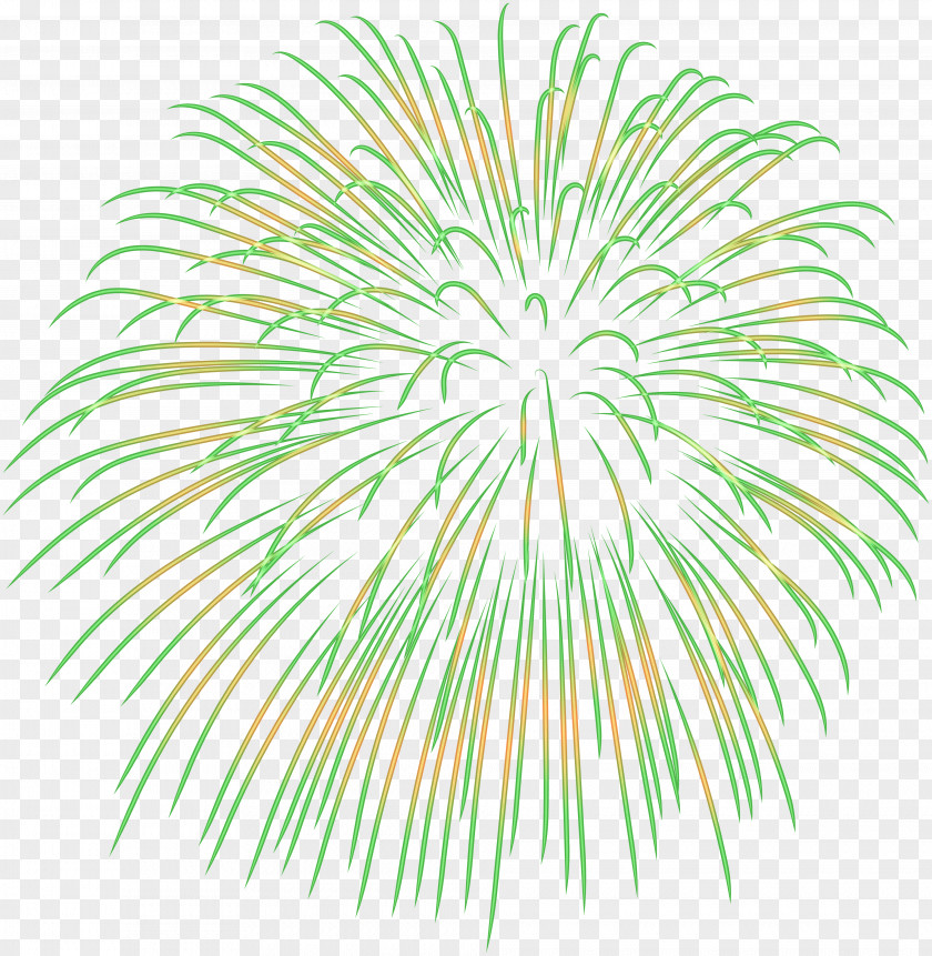 Fireworks Clip Art Image Vector Graphics PNG