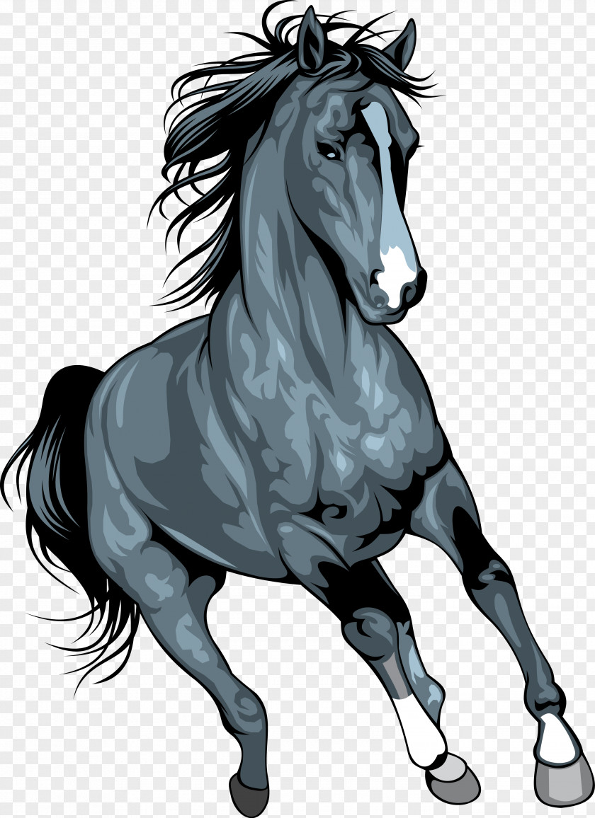 Mustang Arabian Horse Horses Clip Art Wild PNG