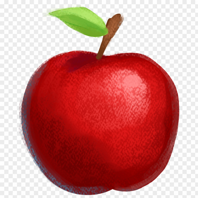 Red Apple Drawing Fruit Illustration PNG