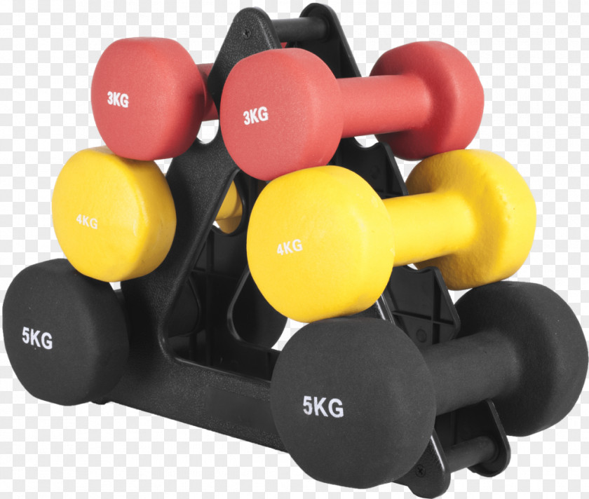 Vinyl Dumbbell Weight Training Gorilla Sports Gymnastikhantelbaum Aerobics PNG
