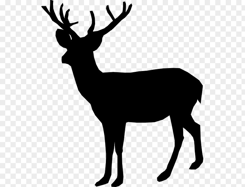 White-tailed Deer Reindeer Hunting Clip Art PNG