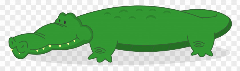 Amphibian Crocodiles Terrestrial Animal Snout Clip Art PNG