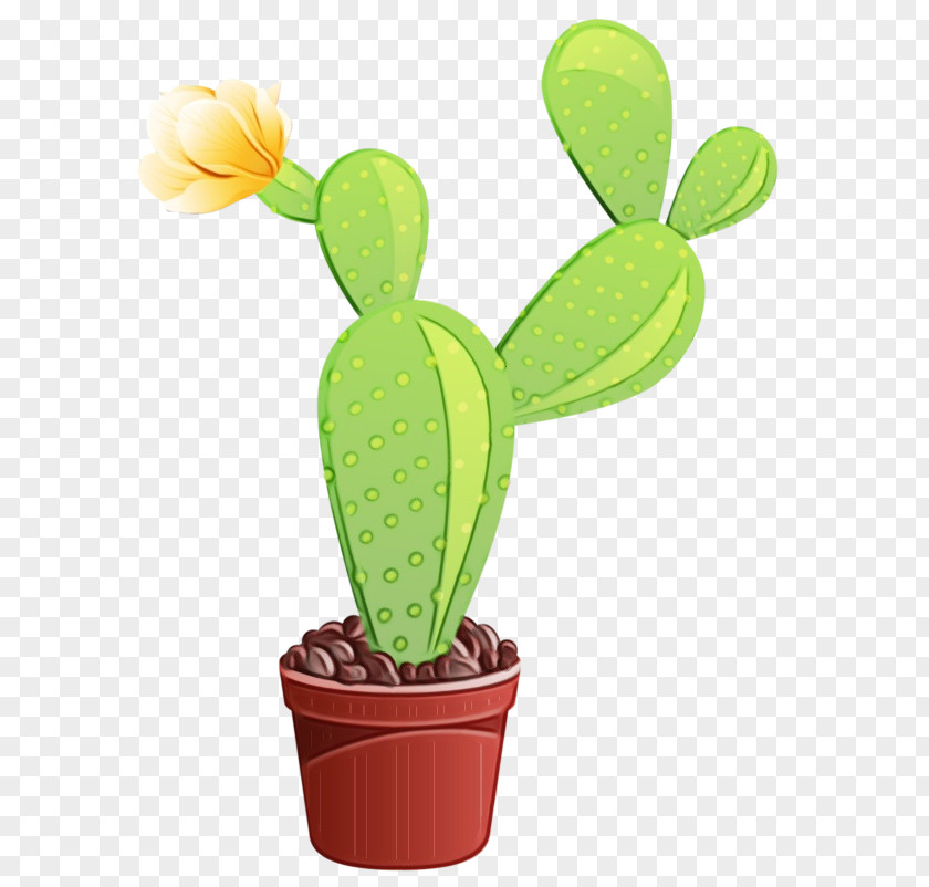 Cactus Clip Art Plant Stem Plants PNG