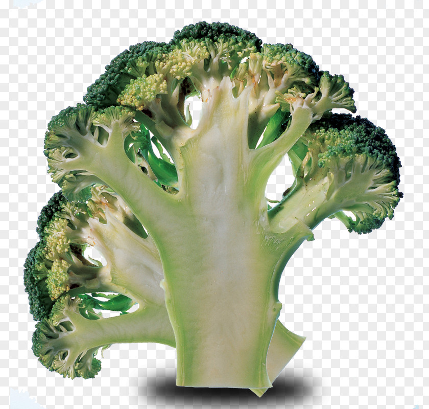 Cauliflower Cut Material Broccoli Cabbage Vegetable Ingredient PNG