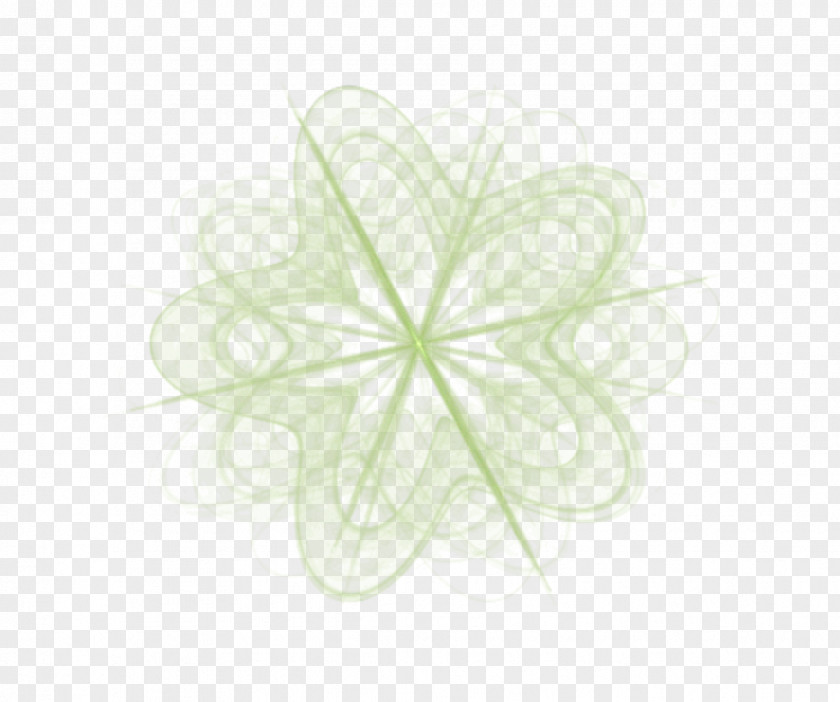Flower Symbol Green Leaf Background PNG