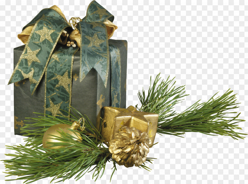 Gift Christmas Day New Year Holiday PNG