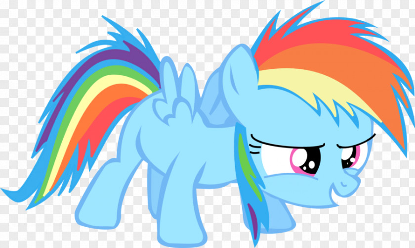 Little Pony Rainbow Dash Rarity Twilight Sparkle Pinkie Pie PNG