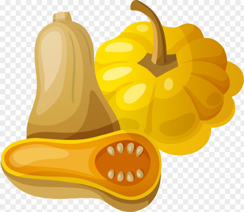 Pumpkin Vector Material Baby Food Zucchini PNG