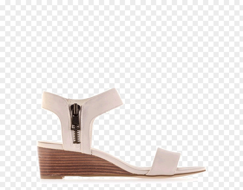 Sandal Shoe PNG