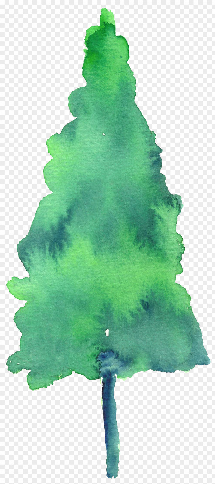 Tree Drawing Watercolor Christmas Day Painting Spruce Pine PNG