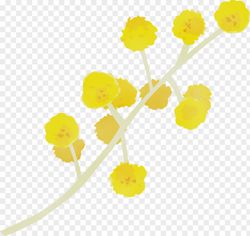 Yellow Flower Plant Stem Cut Flowers PNG