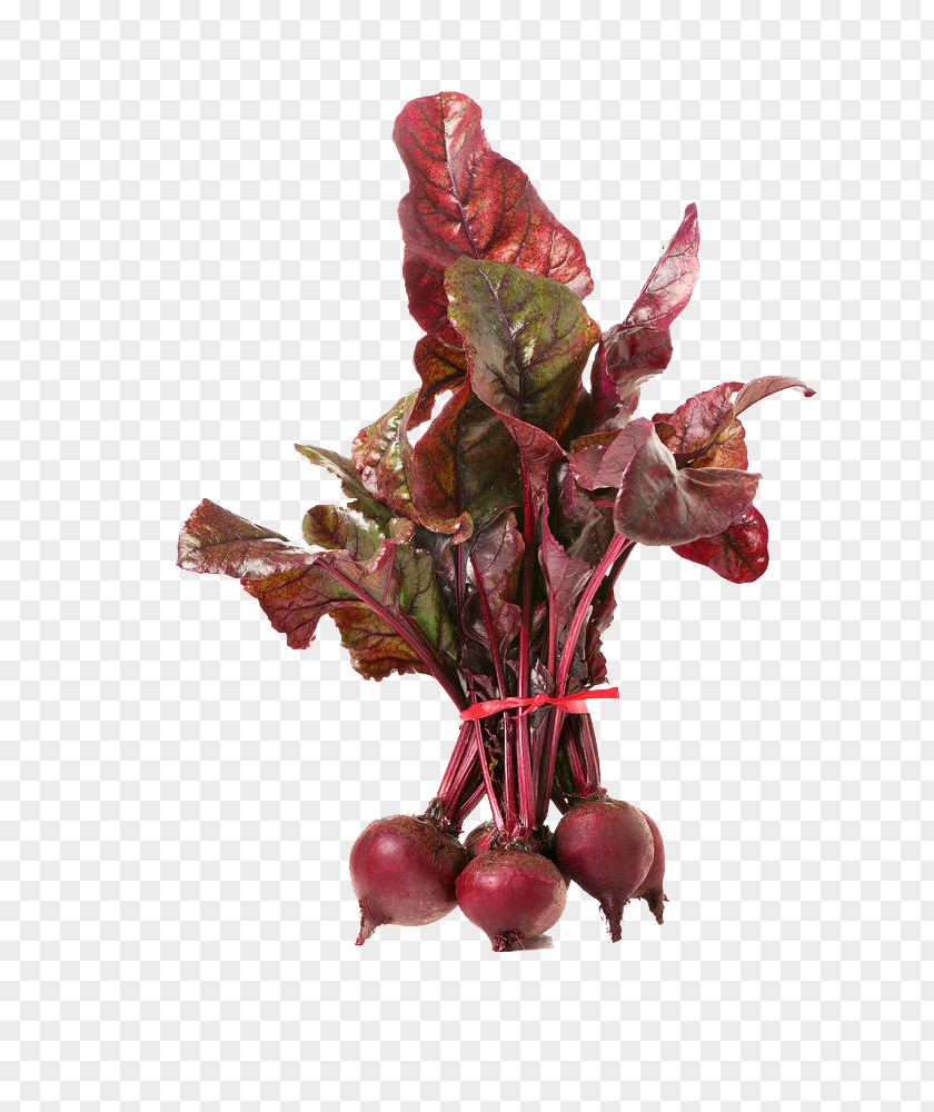 A Beet Dish Beetroot Vegetable Common PNG