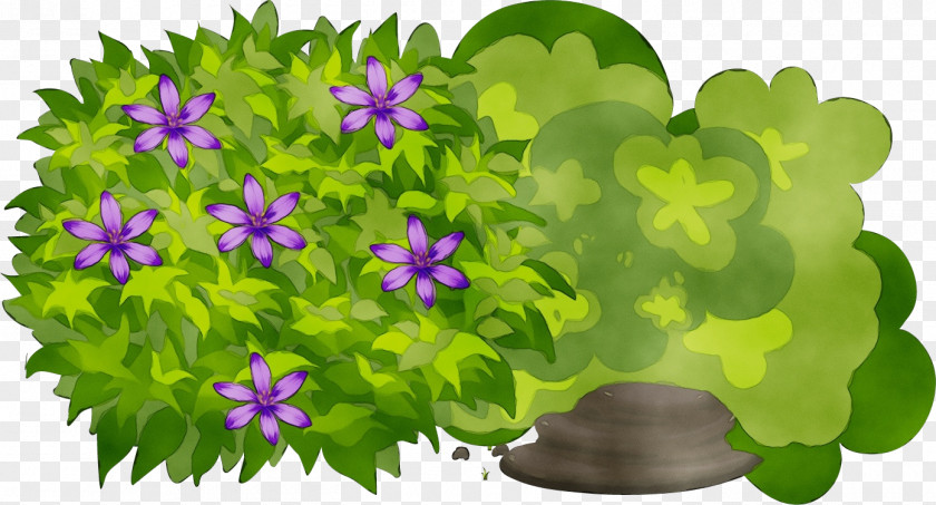 Bellflower Violet Family Purple Watercolor Flower PNG