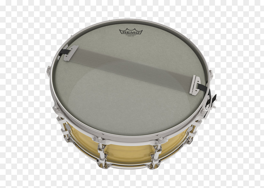 Drum Tamborim Drumhead Remo Snare Drums PNG
