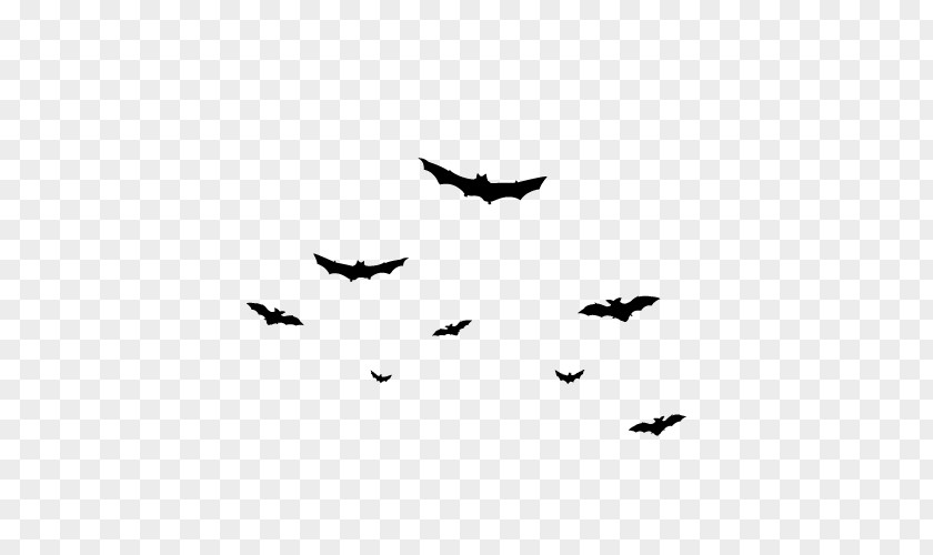 Floating Bat Halloween Flight Cartoon PNG