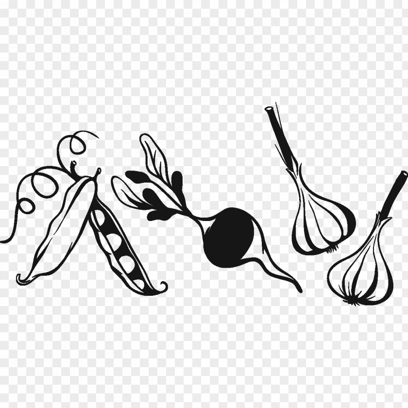 Insect Drawing Cartoon Clip Art PNG