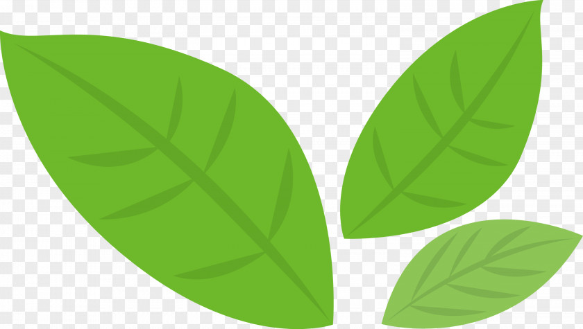 Banana Leaf PNG