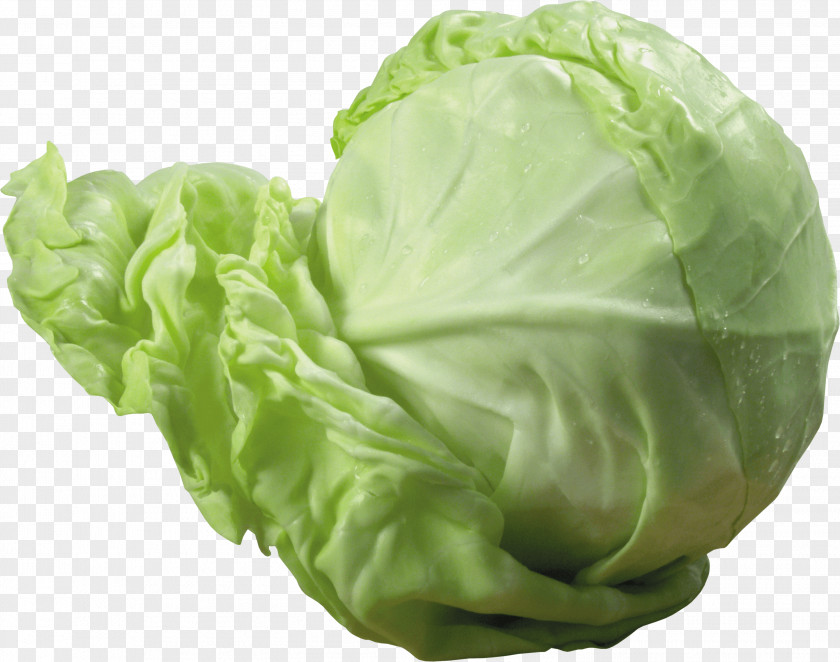 Cabbage Image Roll Vegetarian Cuisine Stuffing Red PNG