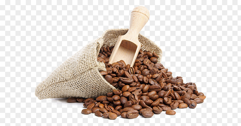 Coffee Espresso Bean Cafe Tea Caffeine PNG