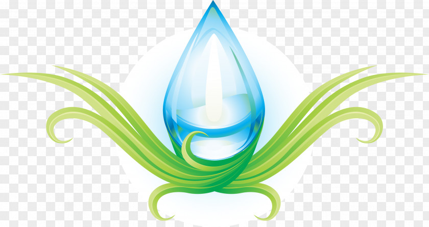 Green Fresh Water Drops PNG