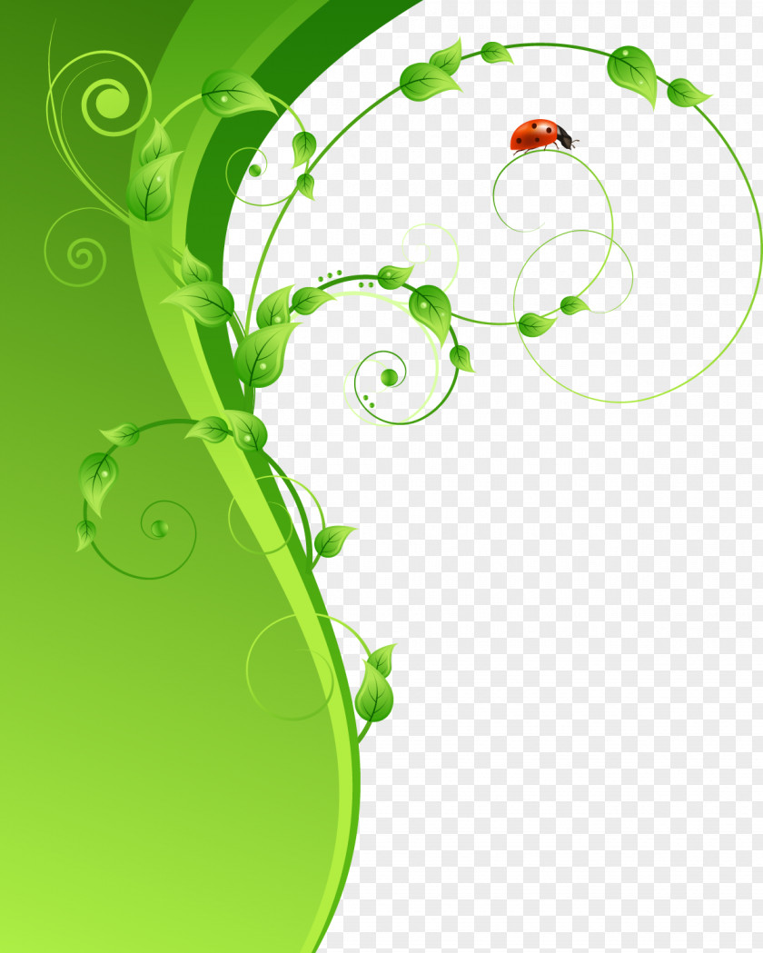 Green Leaf Pattern Ladybird PNG