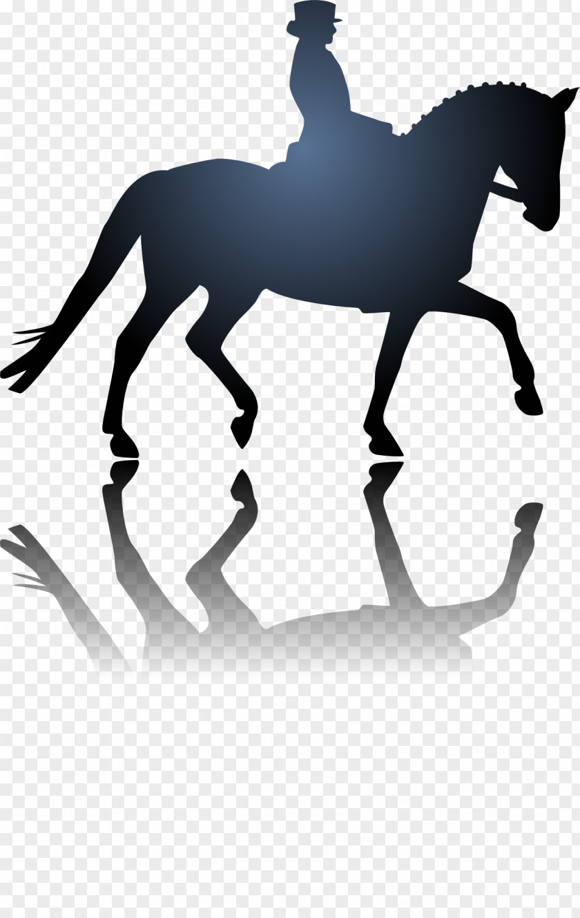 Horse Riding Equestrian Dressage Stencil PNG