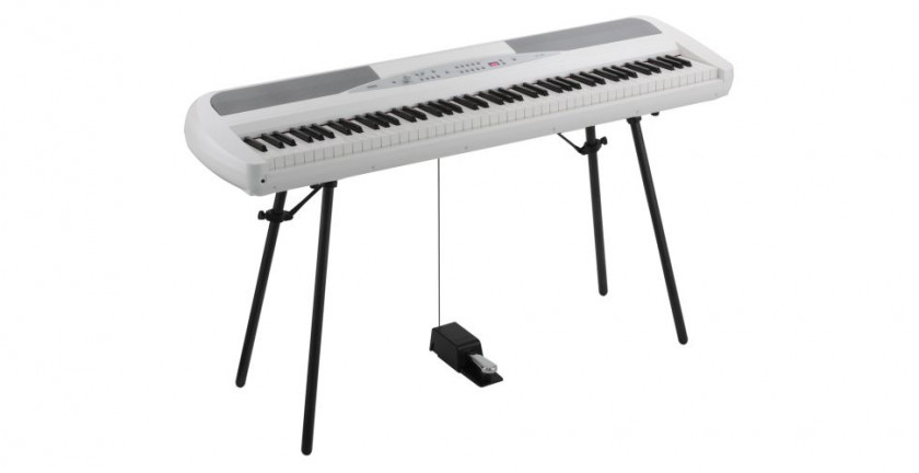 Keyboard Yamaha P-115 Korg SP-280 Digital Piano PNG