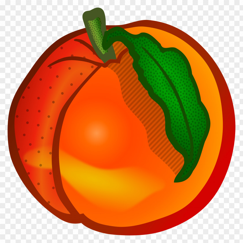 Nectarine Cliparts Peach Free Content Clip Art PNG