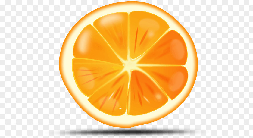 Orange Clip Art Vector Graphics Citrus × Sinensis Openclipart PNG