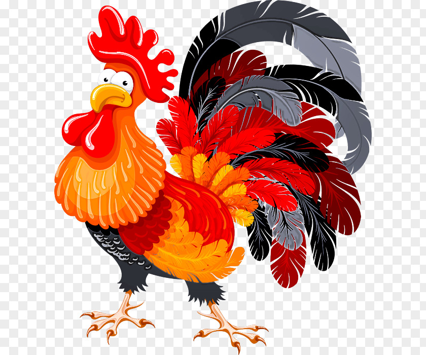 Poultry Beak Chicken Rooster Bird Comb Livestock PNG
