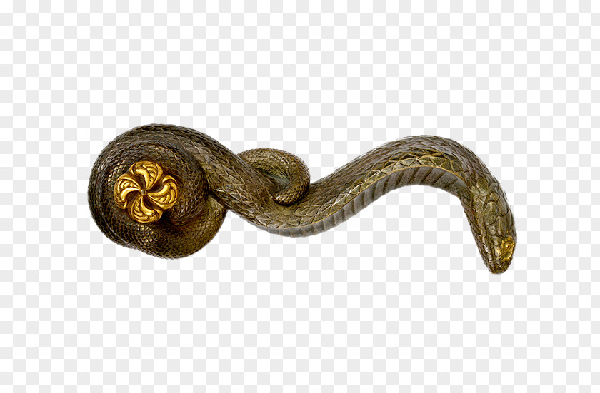 Snake Boa Constrictor Rattlesnake Vipers 01504 PNG