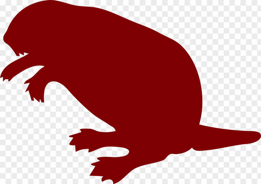 Beaver Clip Art PNG