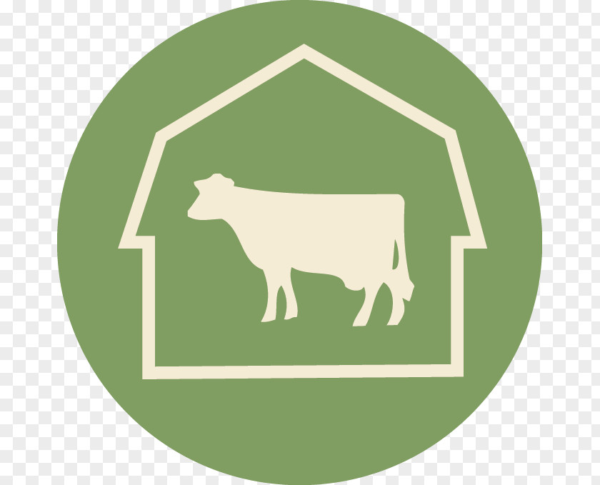 Beef Cattle Logo Livestock Dairy Organization PNG