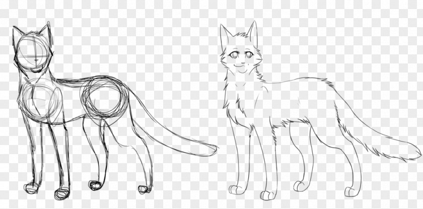 Cat Whiskers Line Art Drawing Sketch PNG