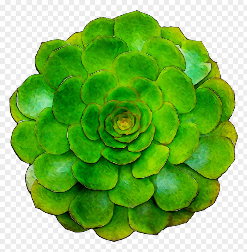 Green PNG