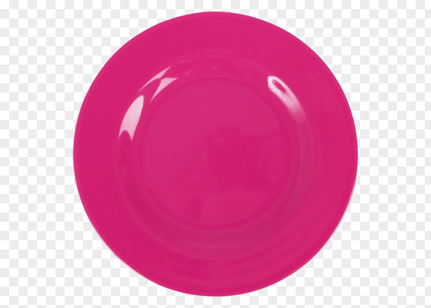 Plate Of Rice Melamine Bowl Dinner Plastic PNG