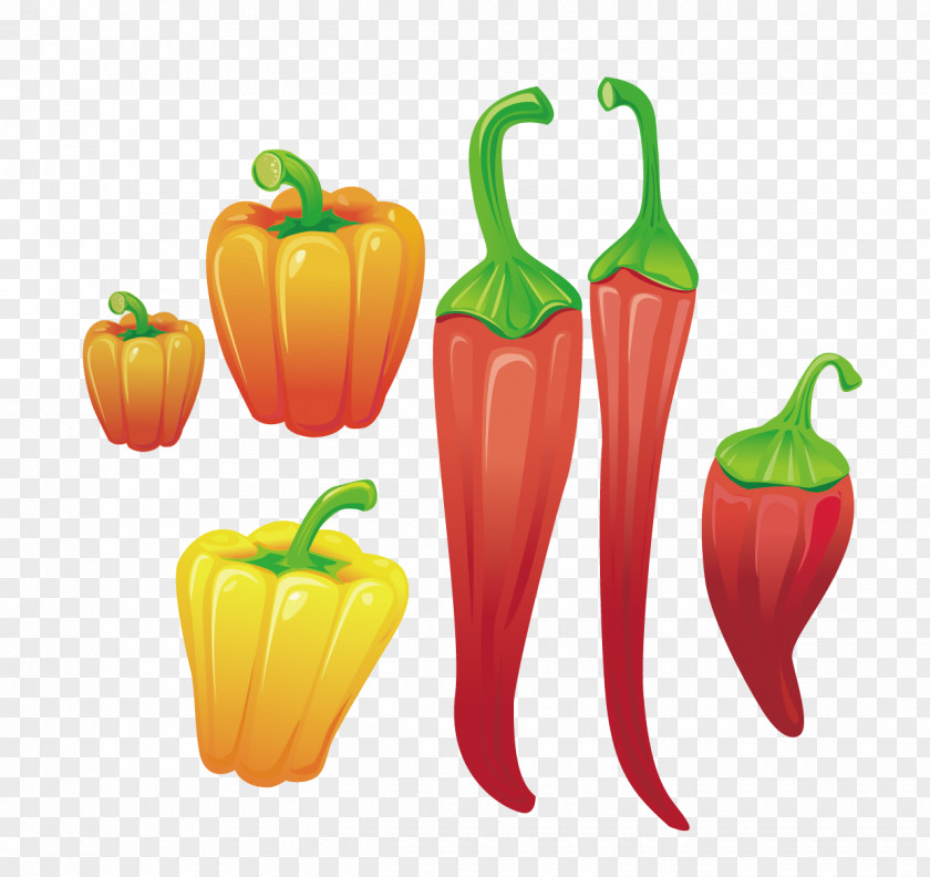 Vector Breeding Pepper And Red Chili Bell Cayenne Fruit PNG