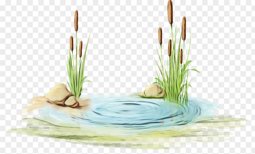 Aquatic Plant Flower Watercolor Floral Background PNG