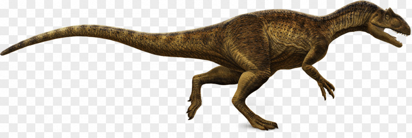 Dinosaur Tyrannosaurus Allosaurus Daspletosaurus Majungasaurus PNG