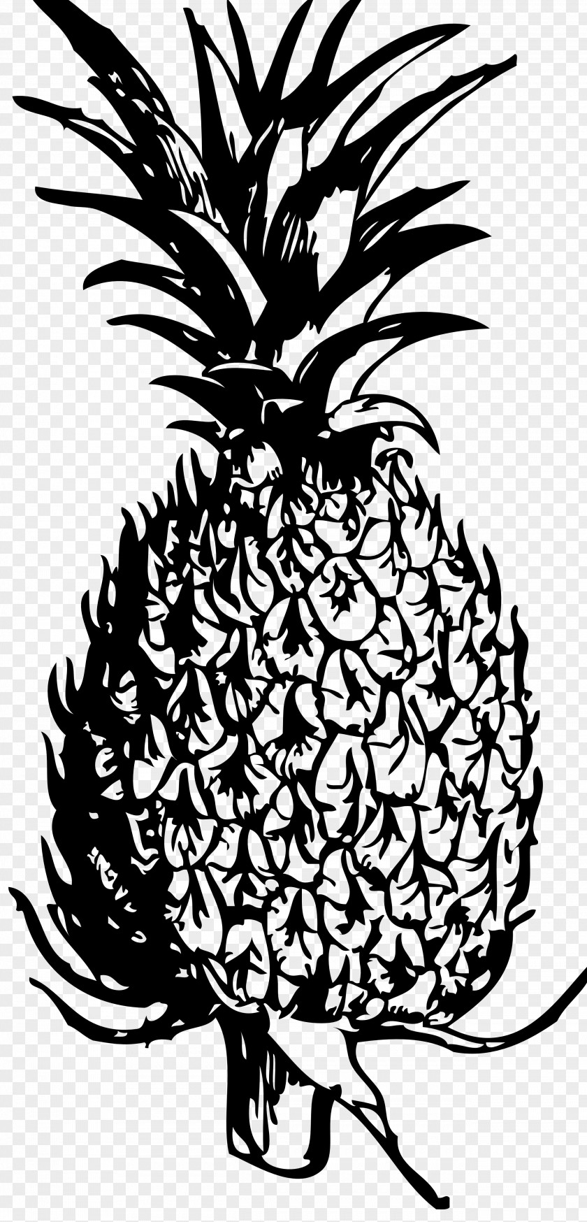 Pineapple Black And White Clip Art PNG
